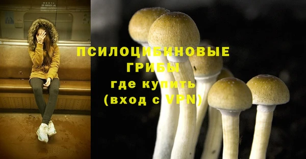 дмт Балахна