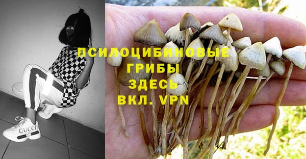 дмт Балахна